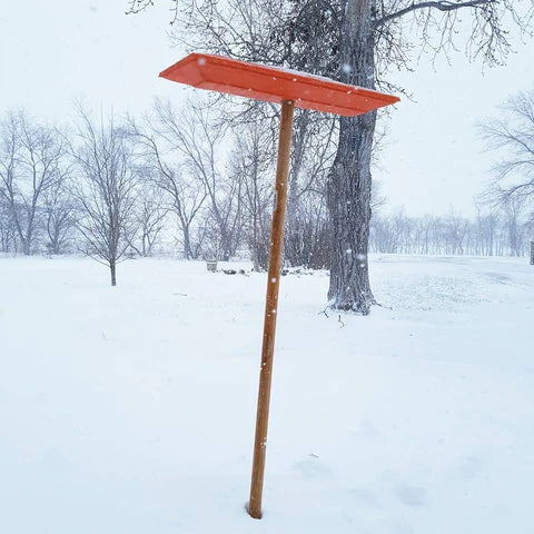 Sno-Rake